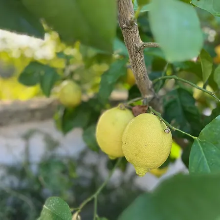 Beautiful Stone House In Istria * Krnica