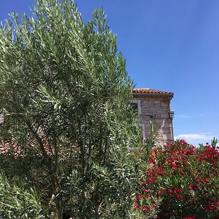 Beautiful Stone House In Istria Holiday home *