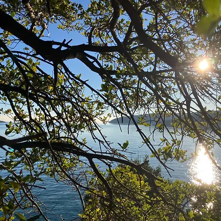 Beautiful Stone House In Istria *